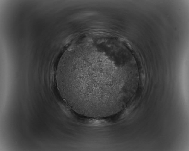 X0000084530379200703021426