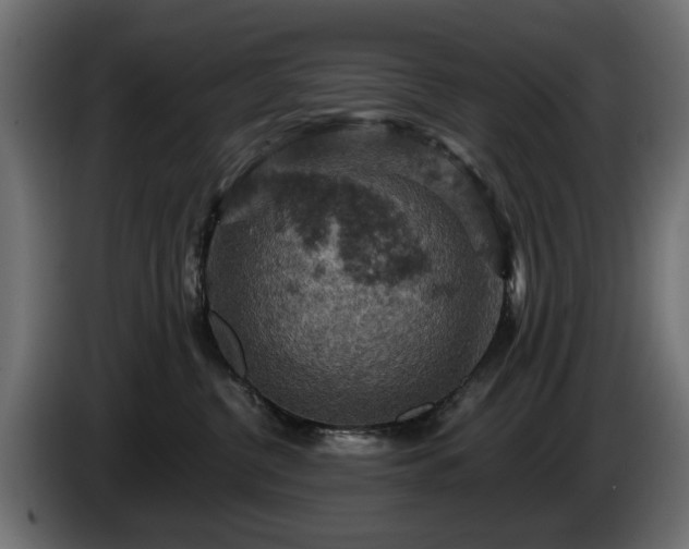 X0000084530380200703021426