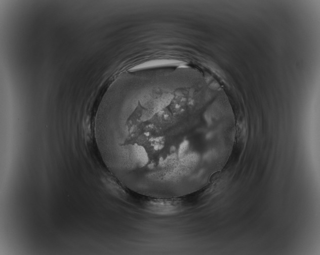 X0000084530381200703021426