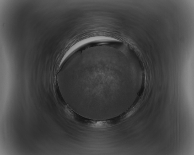 X0000084530382200703021426