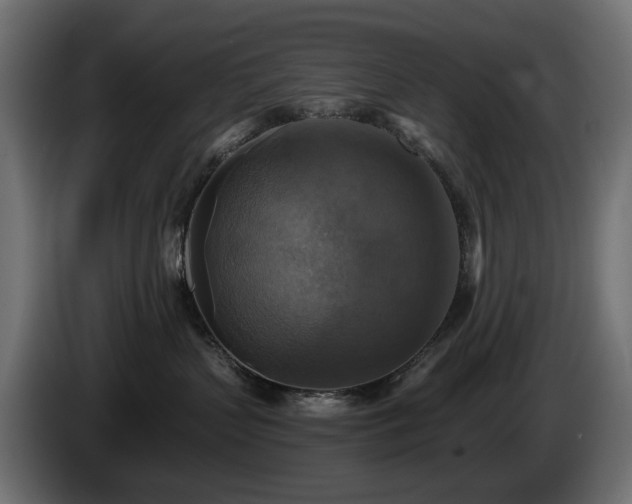 X0000084530383200703021426