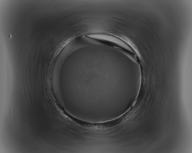 X0000084530385200703021426