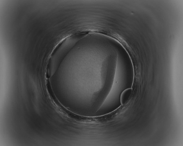 X0000084530386200703021426