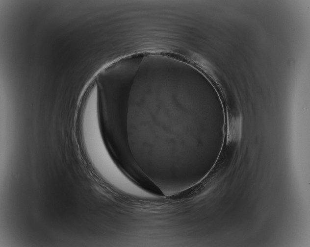 X0000084530387200703021426