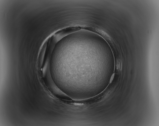 X0000084530388200703021426