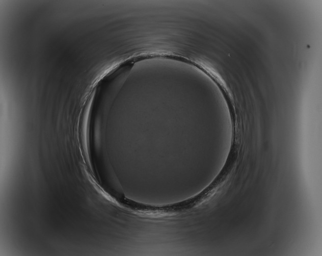 X0000084530389200703021426