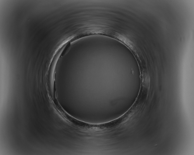 X0000084530390200703021426