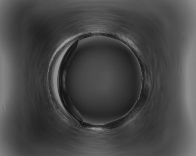 X0000084530391200703021426