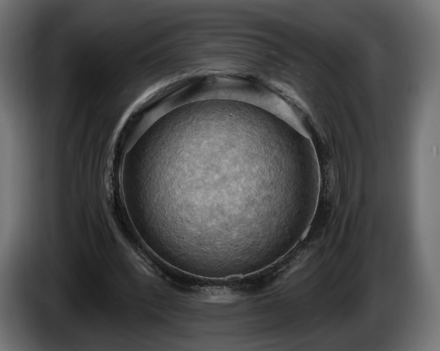 X0000084530392200703021426
