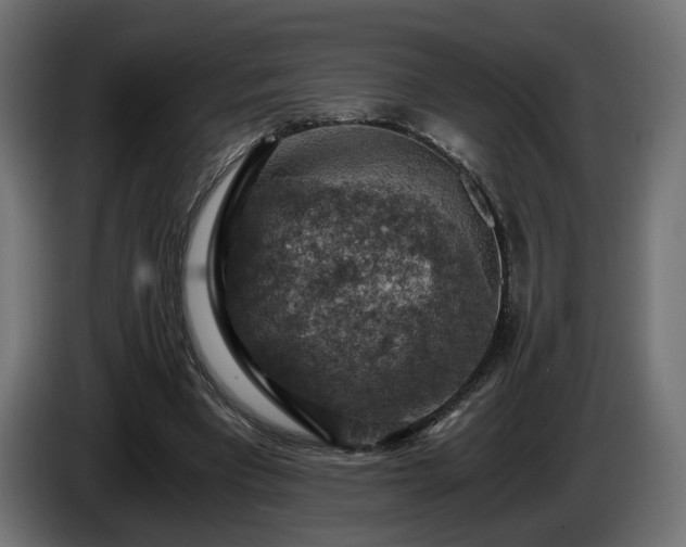 X0000084530393200703021426