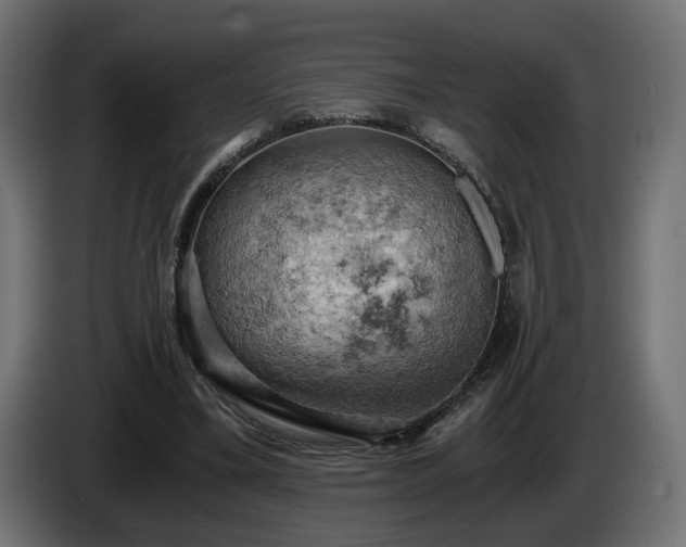 X0000084530395200703021426