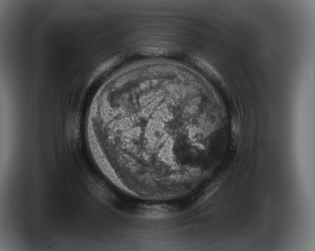 X0000084530396200703021426