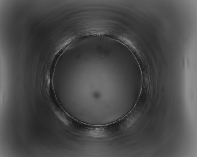 X0000084530398200703021426