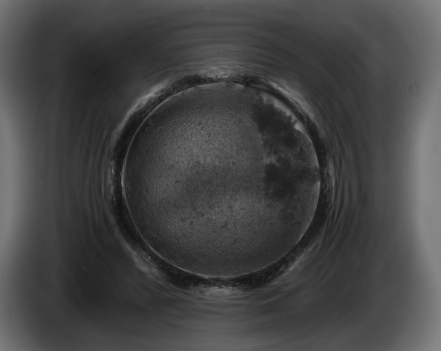 X0000084530400200703021426
