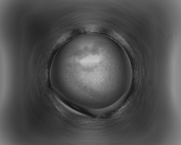 X0000084530401200703021426