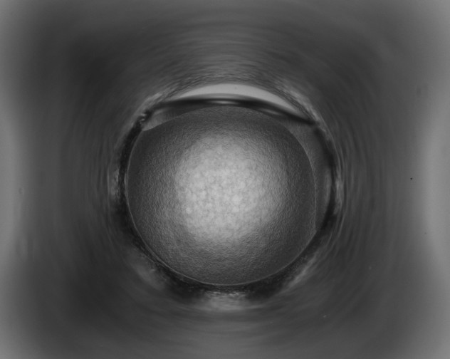 X0000084530403200703021426