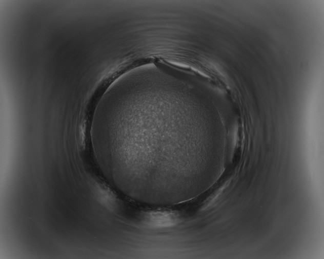 X0000084530404200703021426