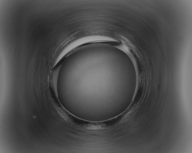 X0000084530405200703021425