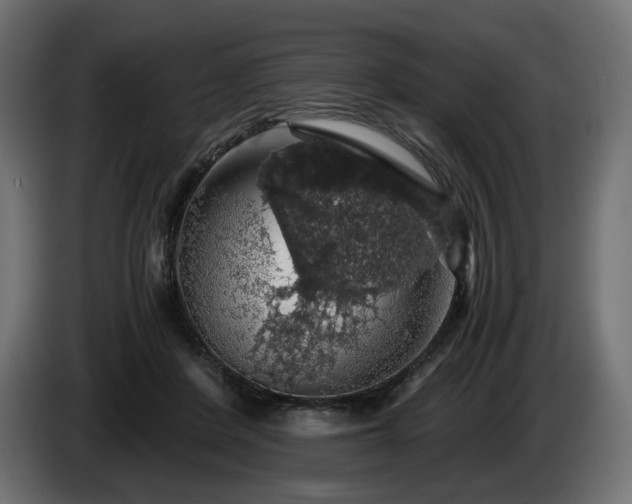 X0000084530408200703021425