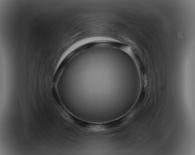 X0000084530409200703021425