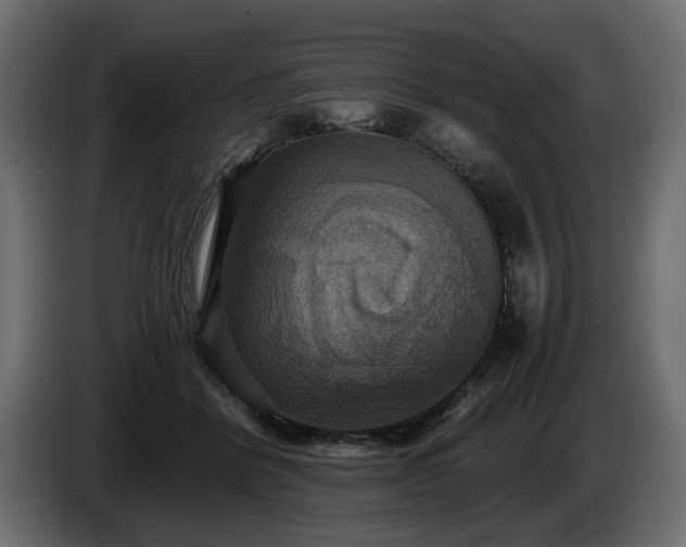 X0000084530412200703021425