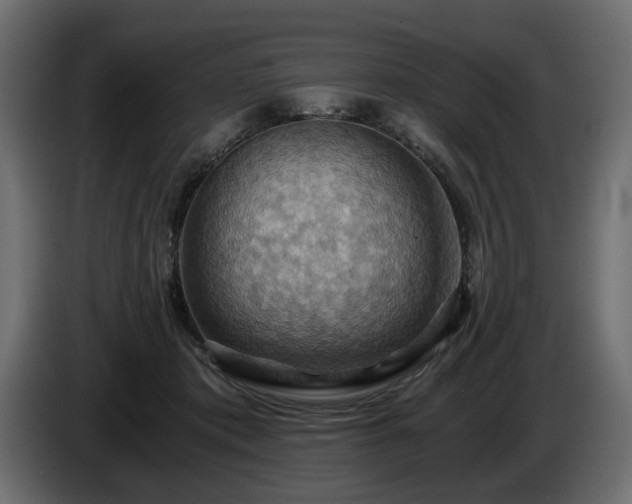 X0000084530413200703021425