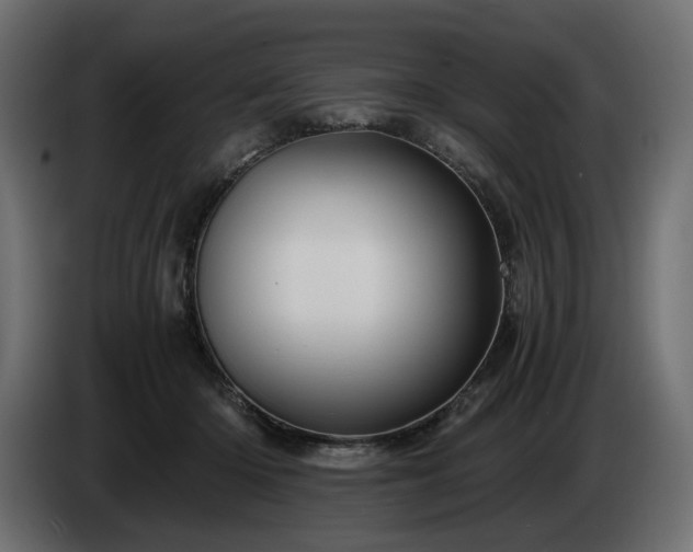 X0000084530414200703021425