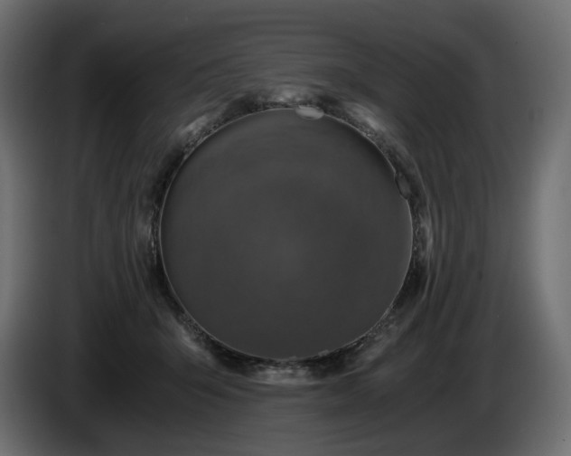X0000084530415200703021425
