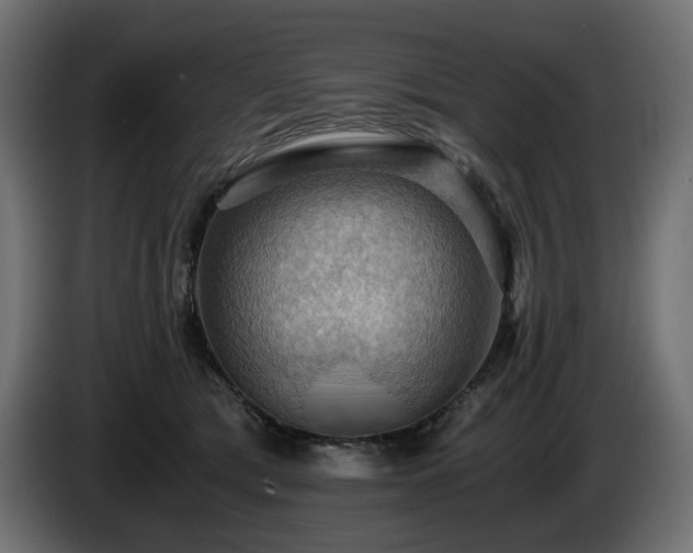 X0000084530417200703021425