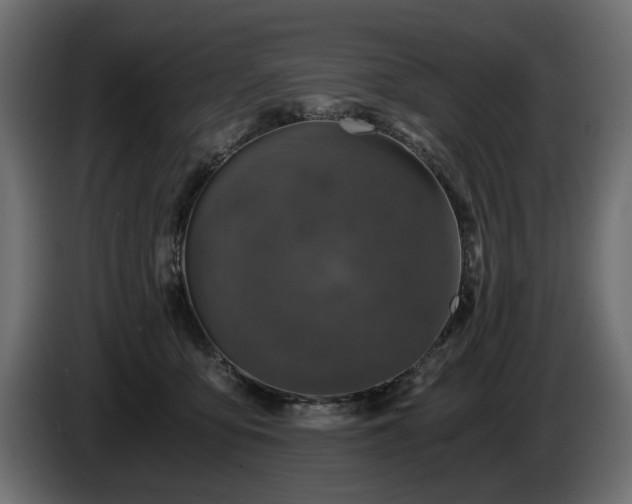 X0000084530419200703021425