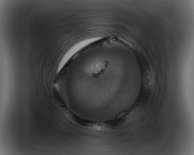 X0000084530420200703021425