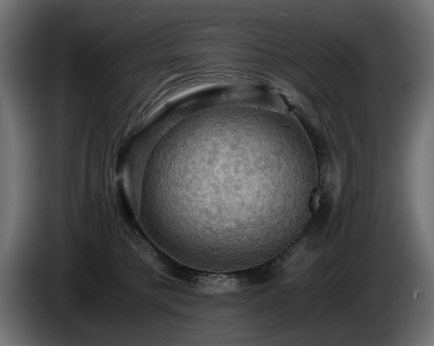 X0000084530421200703021425