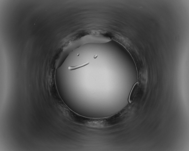 X0000084530422200703021425