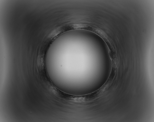 X0000084530426200703021425