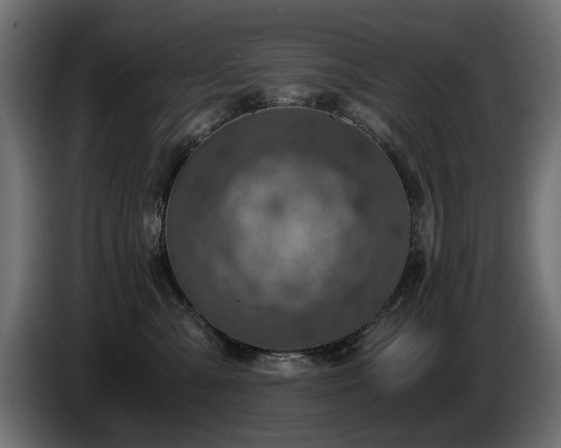 X0000084530427200703021425