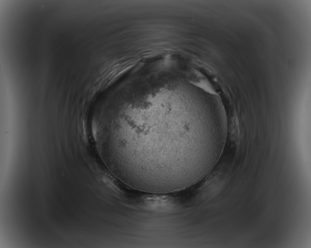 X0000084530428200703021425