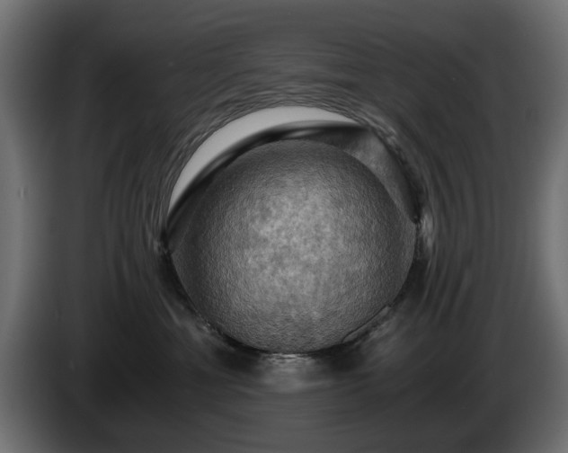 X0000084530429200703021425