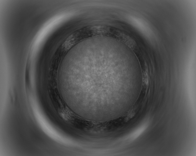 X0000084530431200703021425