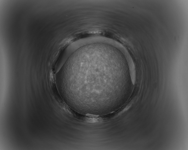 X0000084530432200703021425
