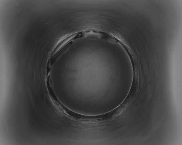 X0000084530434200703021424