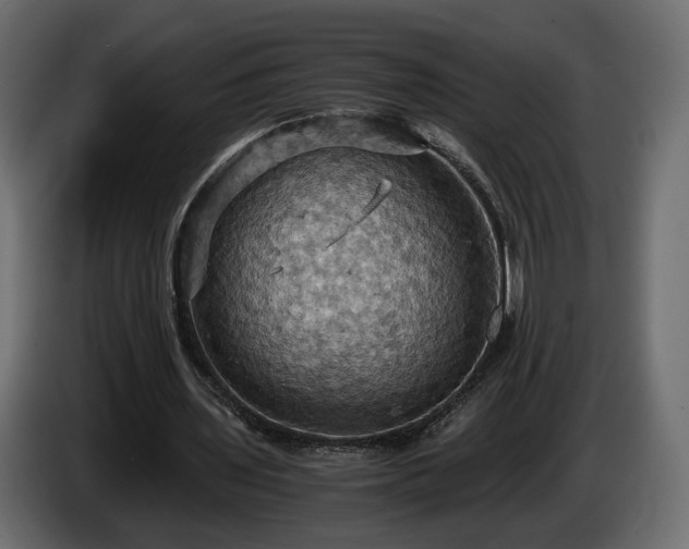 X0000084530435200703021424
