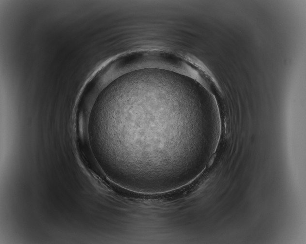 X0000084530436200703021424