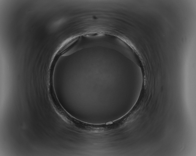 X0000084530438200703021424