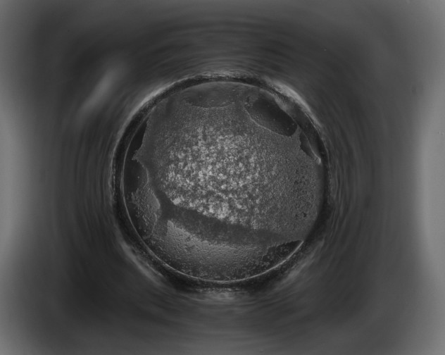 X0000084530439200703021424
