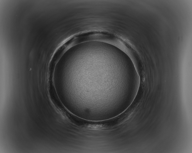 X0000084530440200703021424