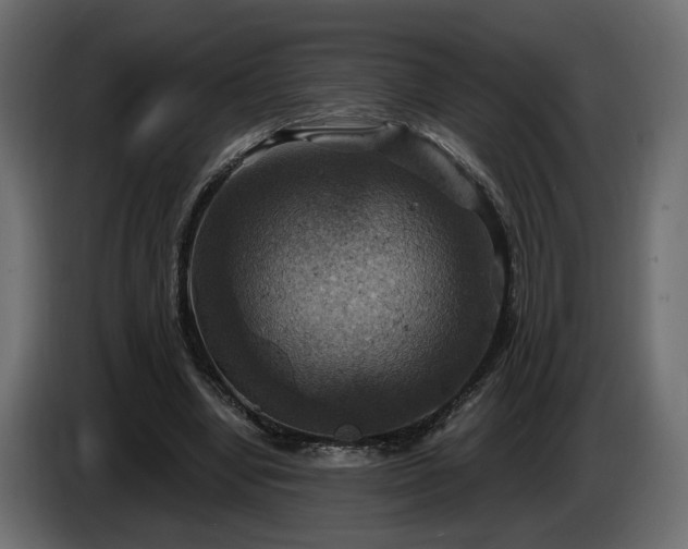 X0000084530442200703021424