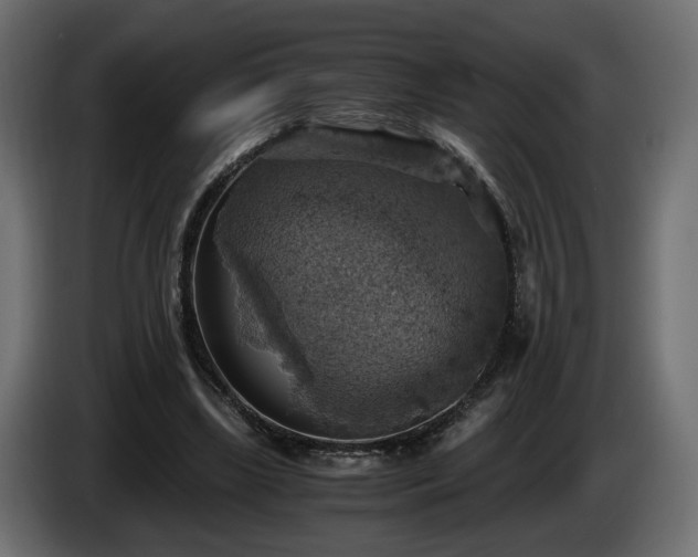 X0000084530443200703021424