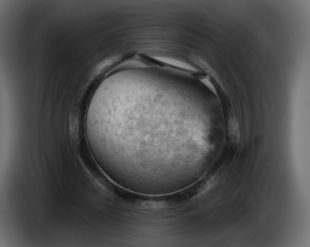 X0000084530444200703021424