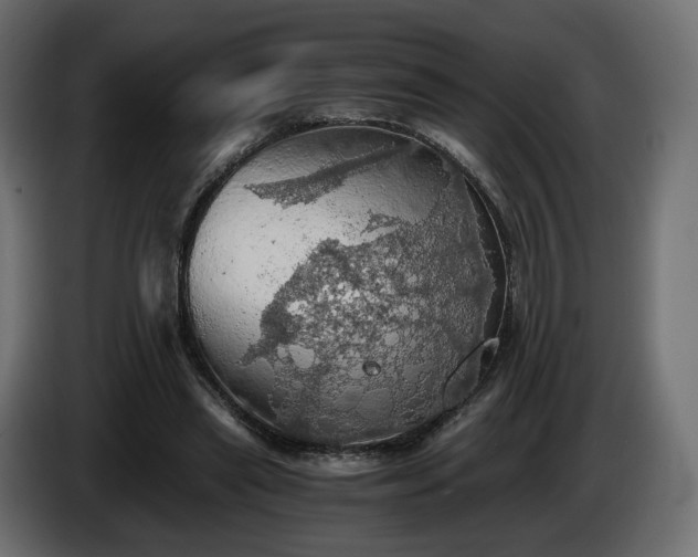 X0000084530445200703021425