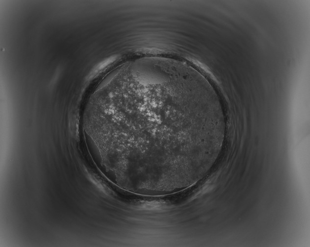 X0000084530446200703021425